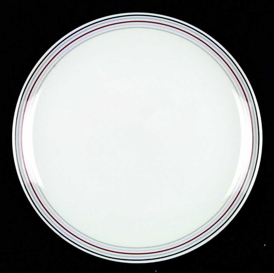 Color Rings Dinner Plate by Studio Nova-1