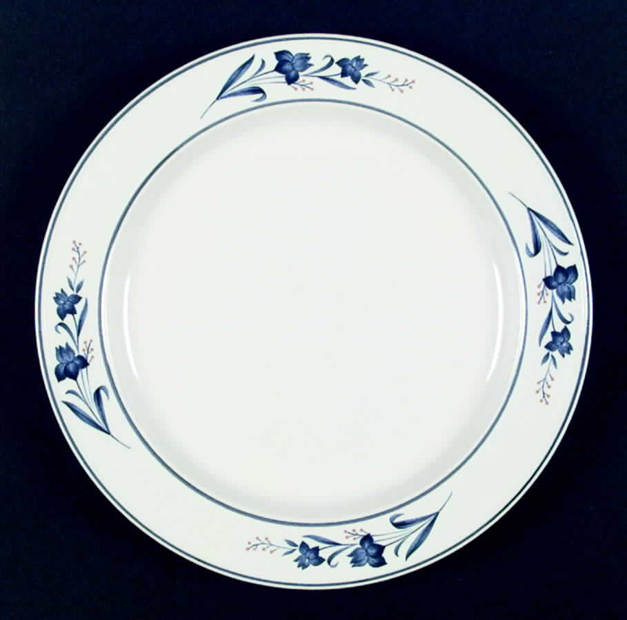 Desert Flower Dinner Plate by Studio Nova-1