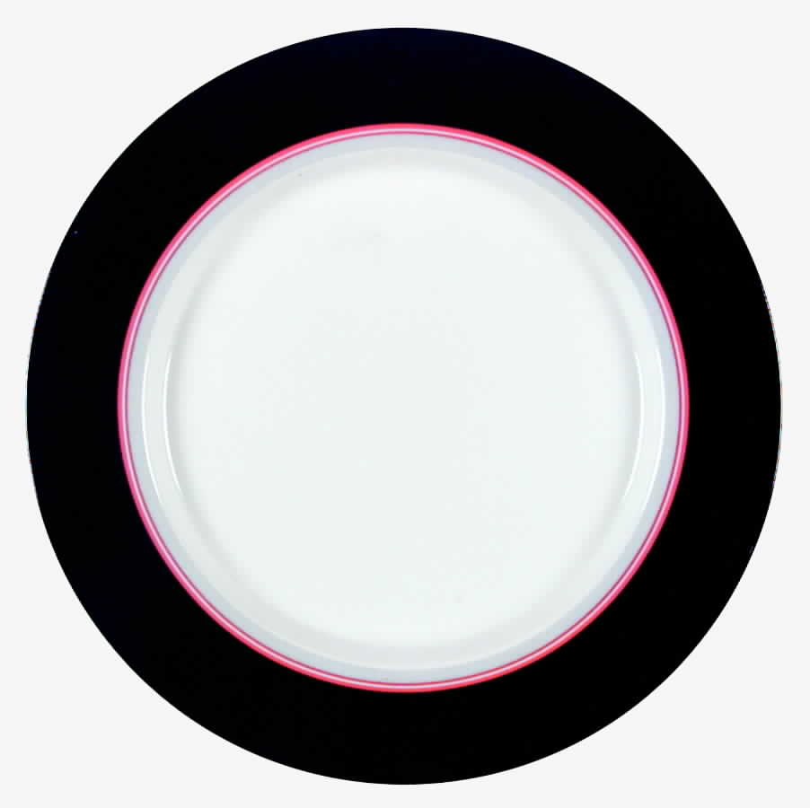 Terrace Twist Black Dinner Plate by Studio Nova-1