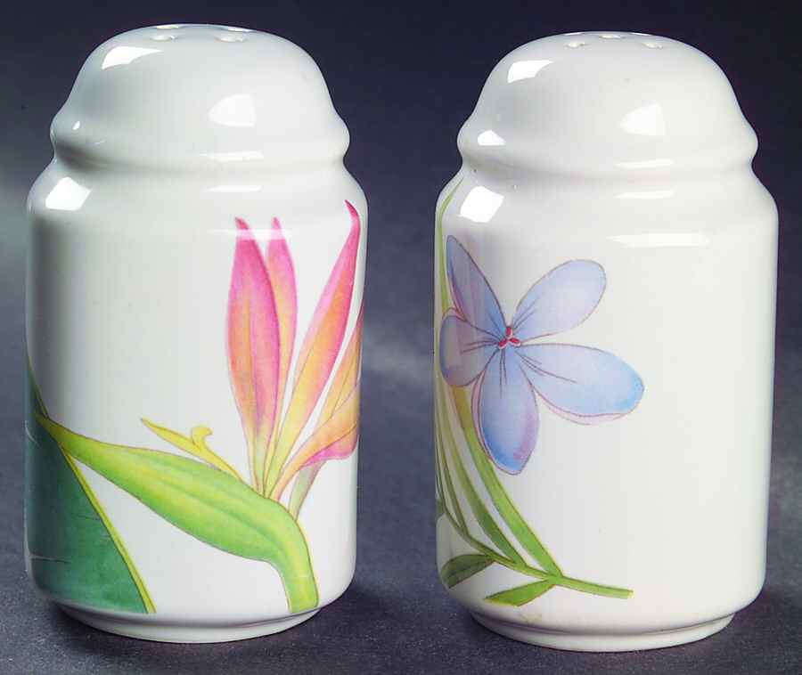 Tropical Splendor Salt & Pepper Set by Studio Nova-1