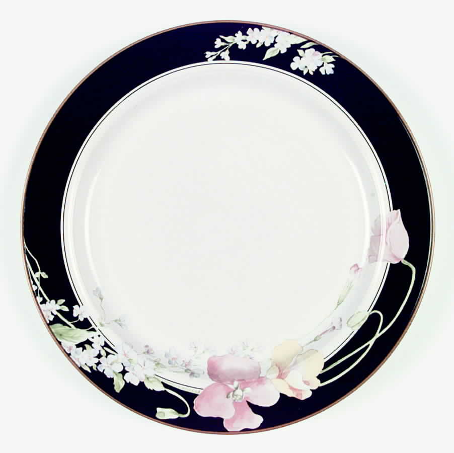 Windmere Black Dinner Plate by Studio Nova-1
