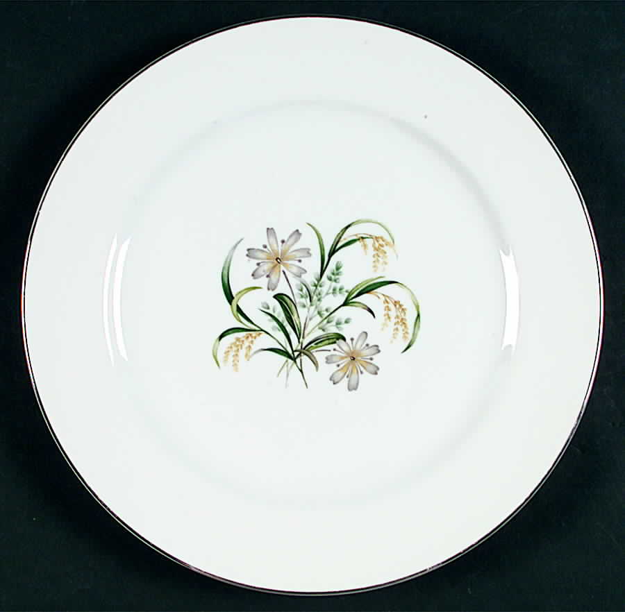 6027 Dinner Plate by Sone-1