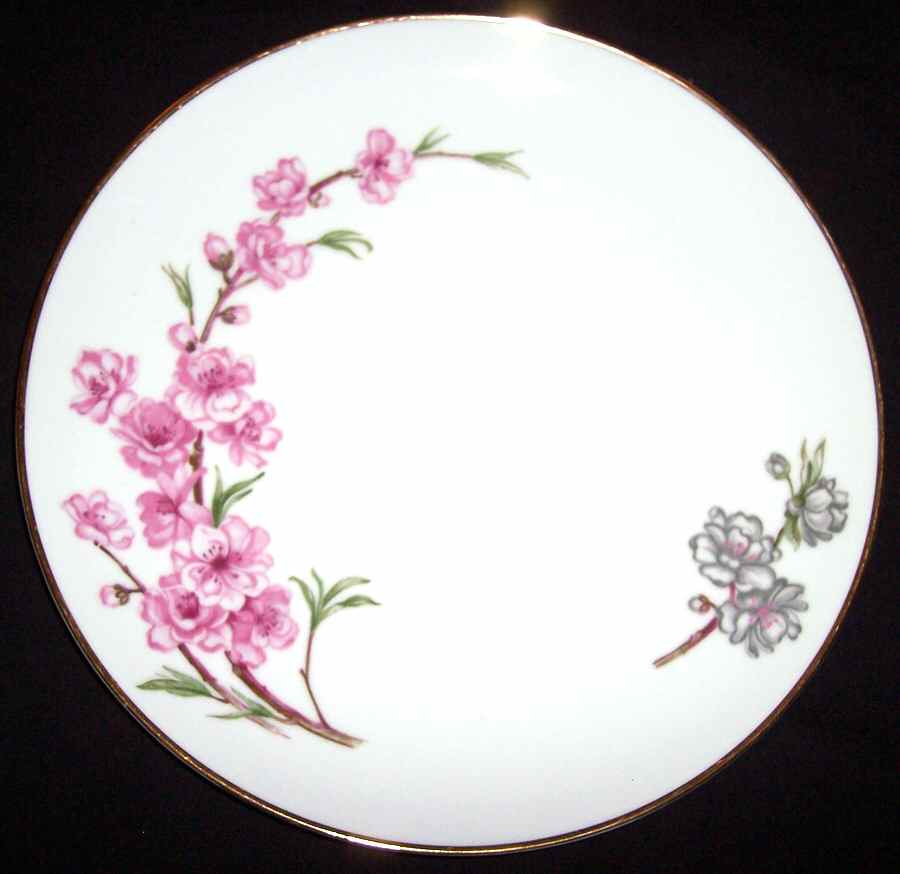 SON10 Dinner Plate by Sone-1