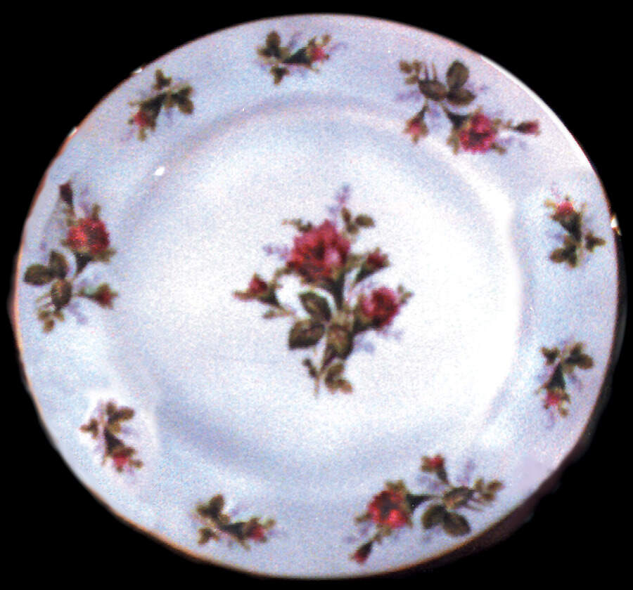 SON17 Dinner Plate by Sone-1