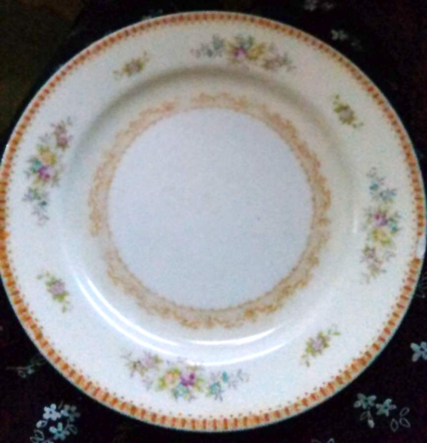 SON6 Dinner Plate by Sone-1