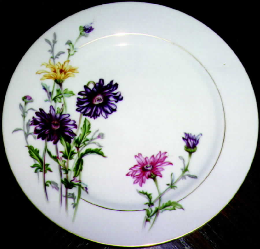 SON8 Dinner Plate by Sone-1