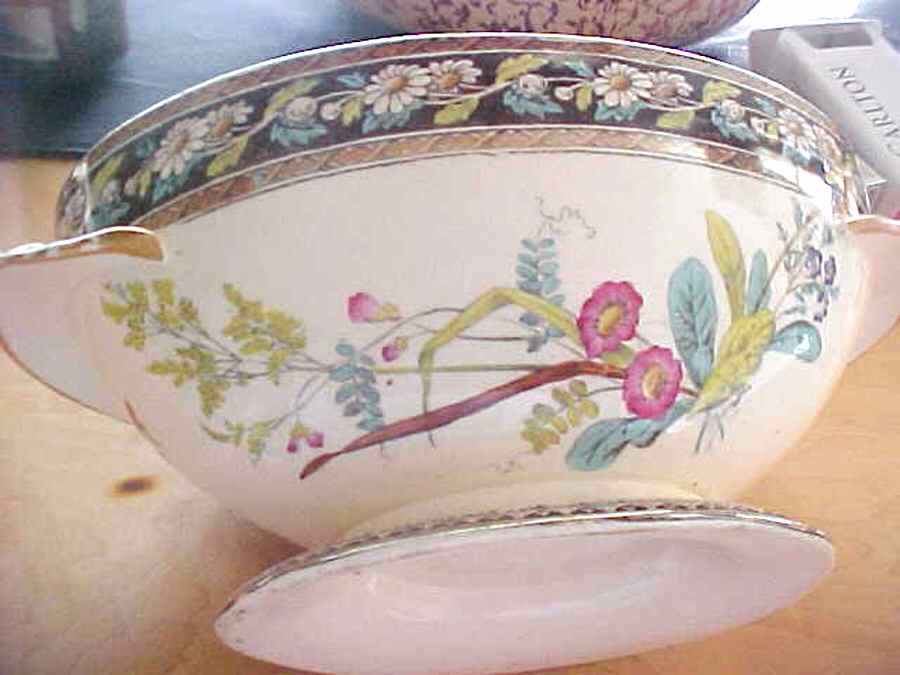 Daisy (Brown-Multicolor) Sauce Boat No Lid by Spode-1