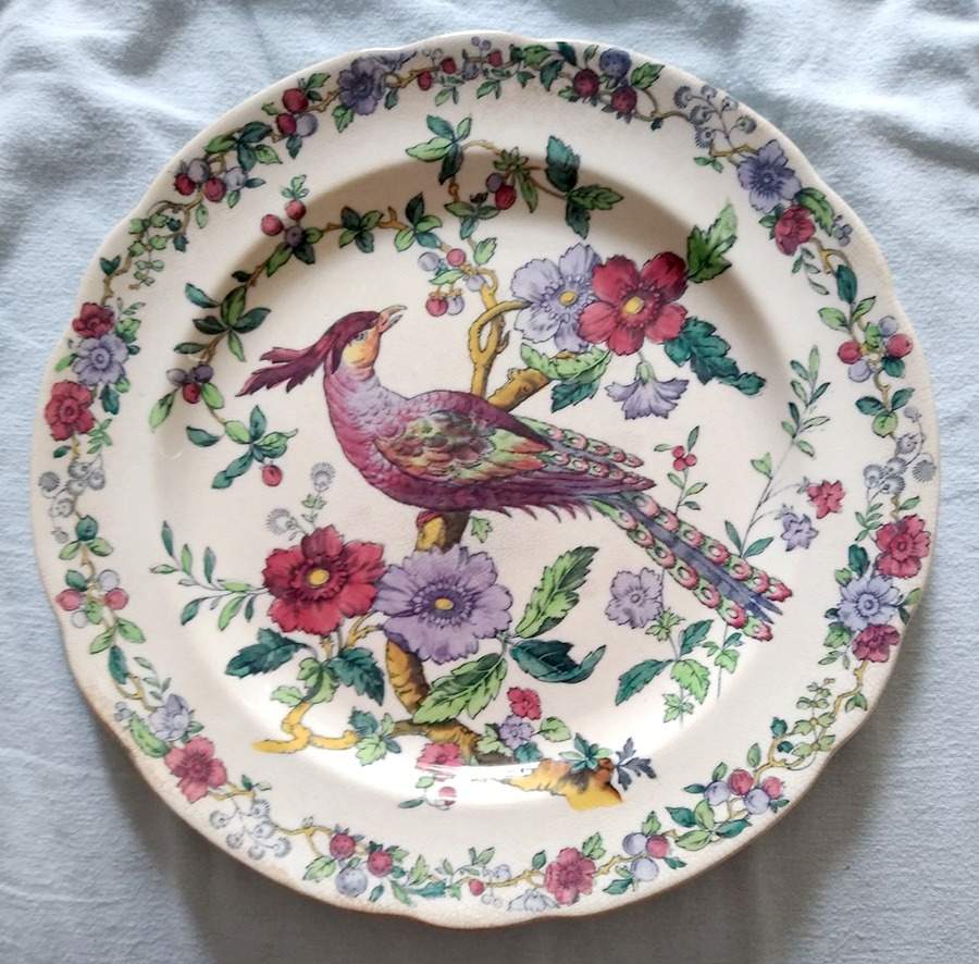 2-4325 Dinner Plate by Spode-1