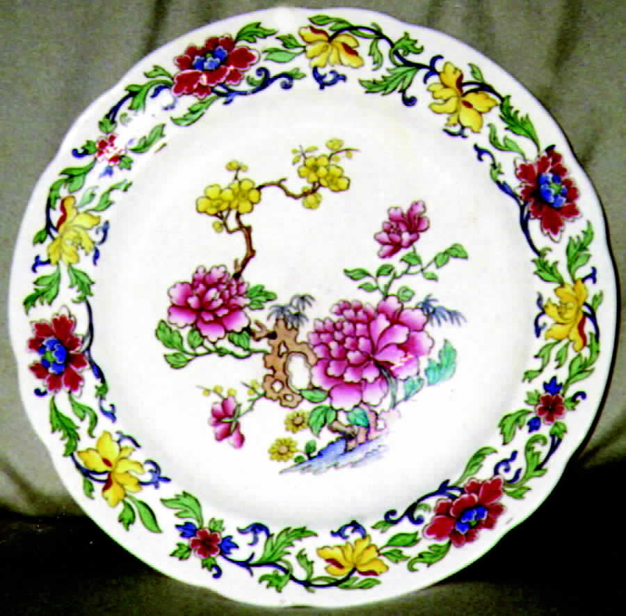 2-8435 Dinner Plate by Spode-1