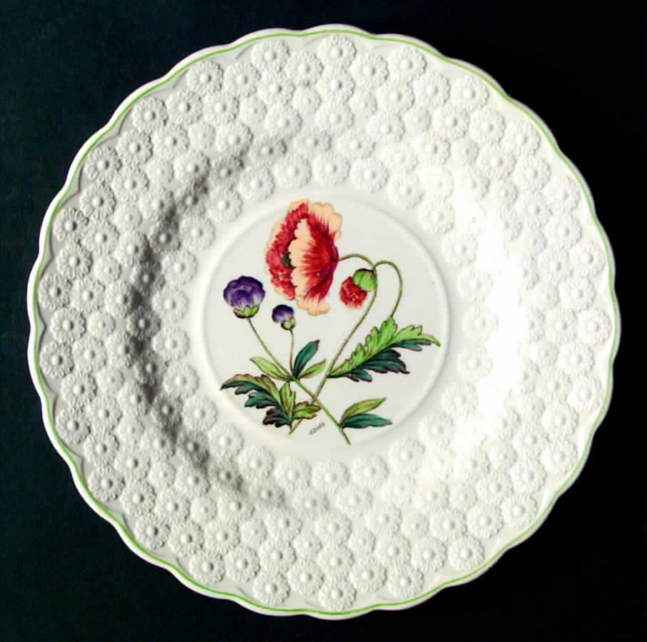 2-9366 Luncheon Plate by Spode-1