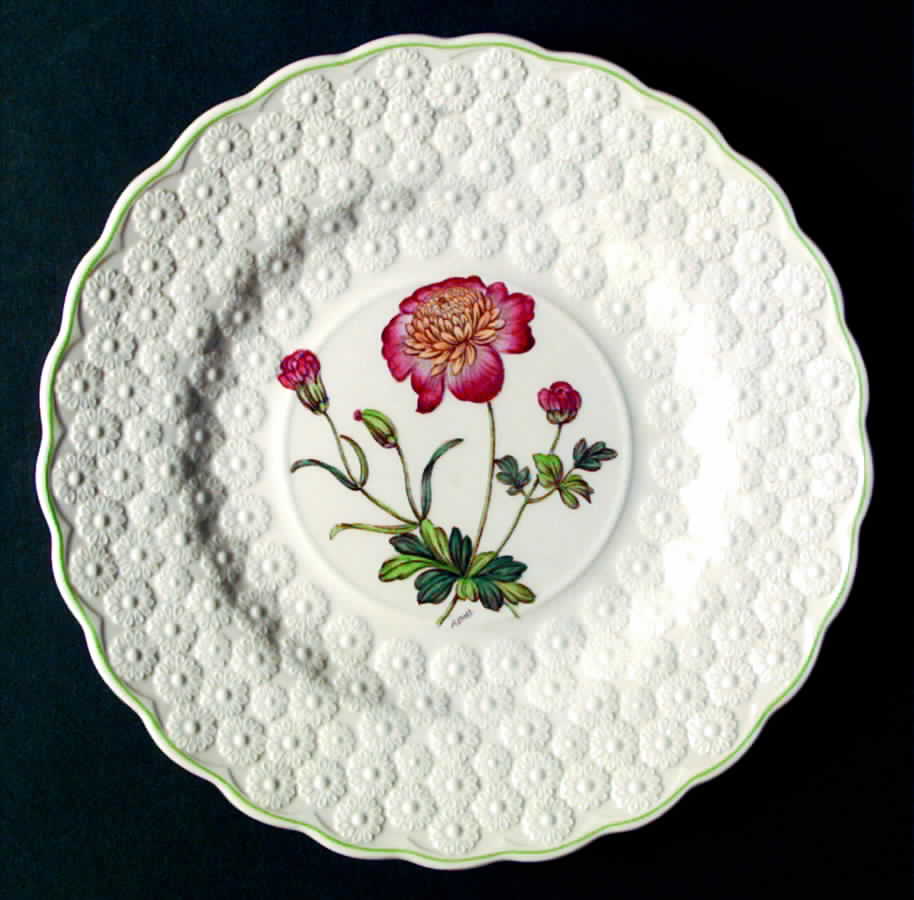2-9366 Luncheon Plate by Spode-1