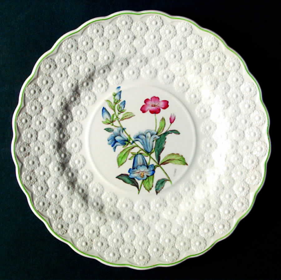 2-9366 Luncheon Plate by Spode-1