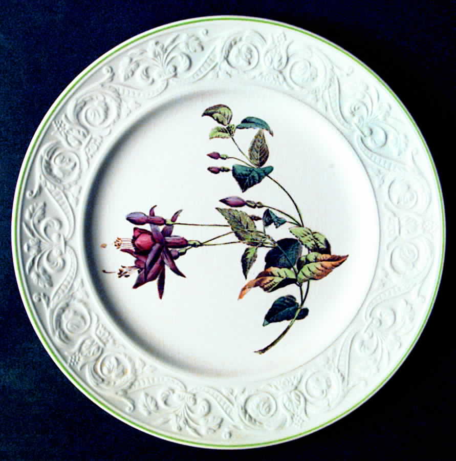 2-9367 Luncheon Plate by Spode-1