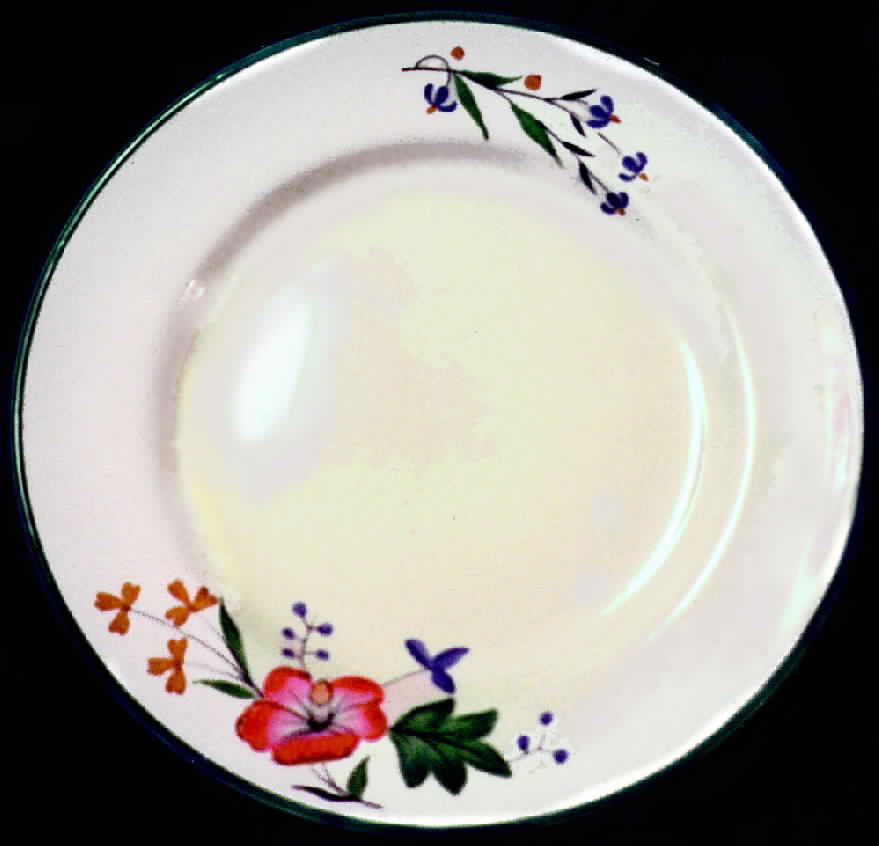 2-9918 Dinner Plate by Spode-1