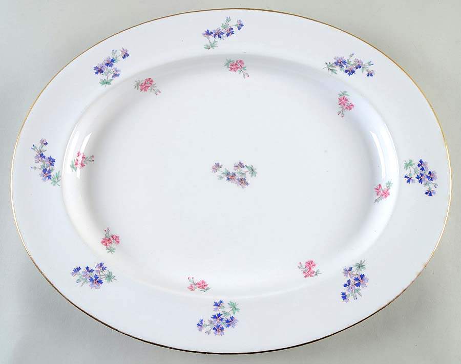 4687 18" Oval Serving Platter by Spode-1