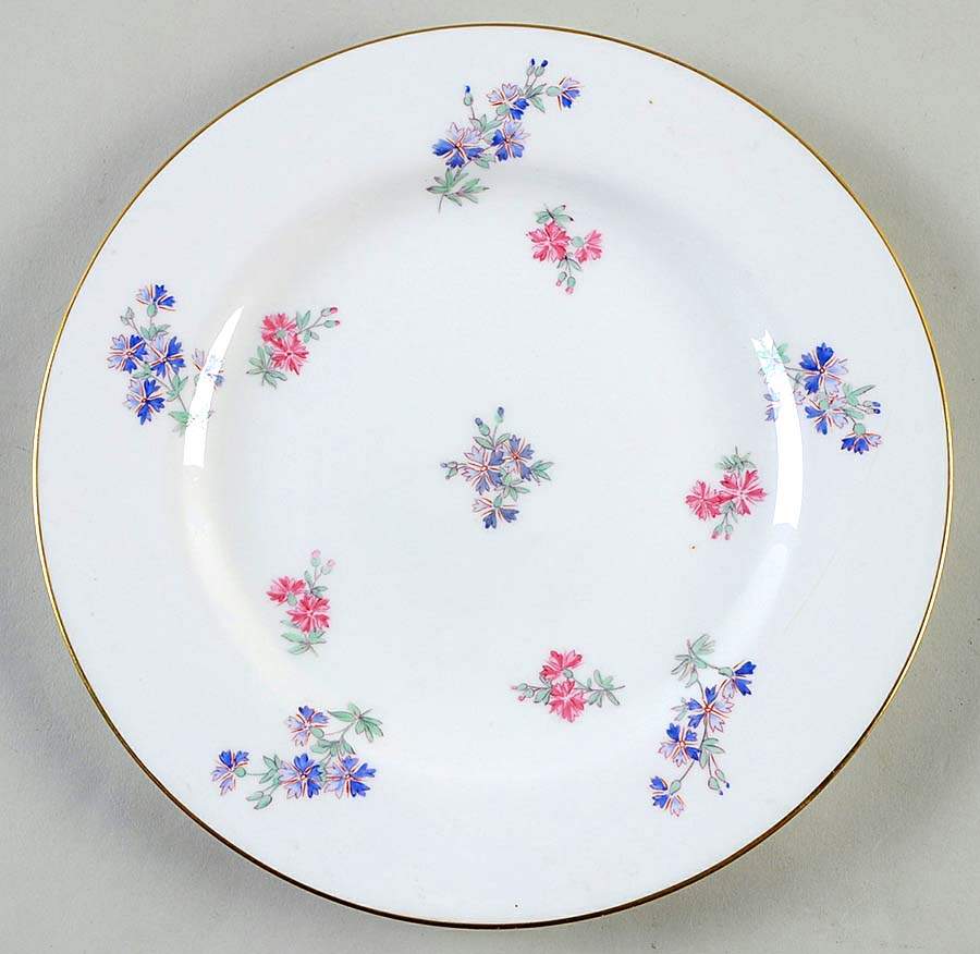 4687 Dinner Plate by Spode-1