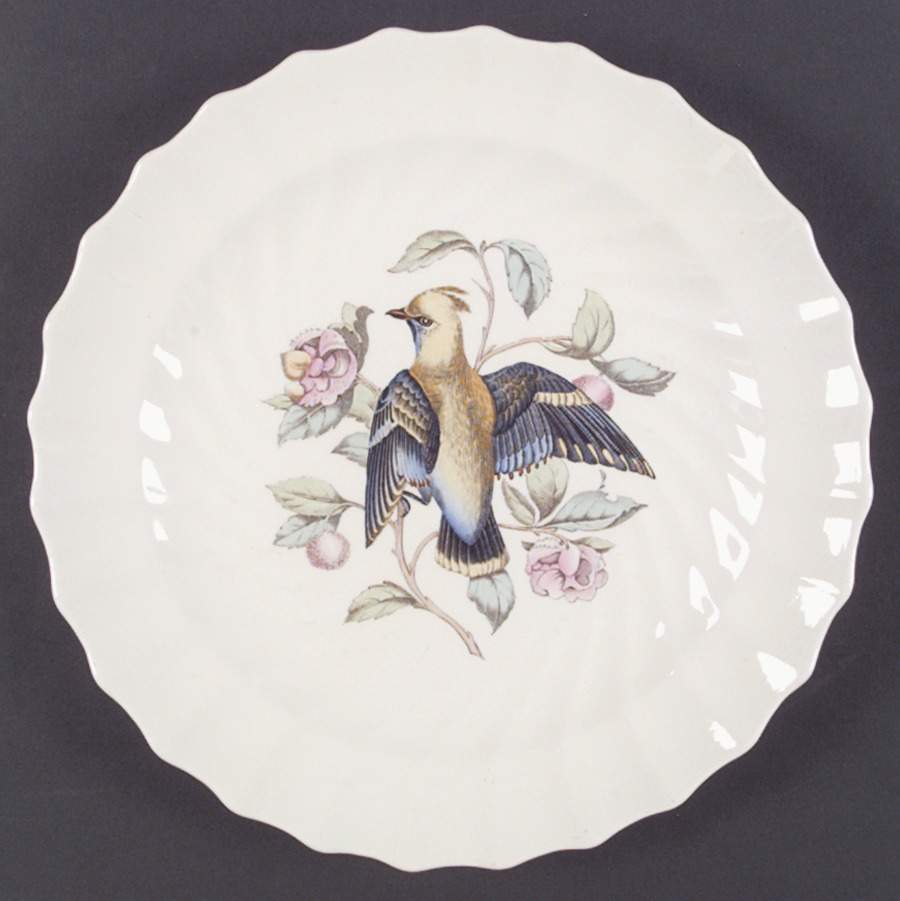 American Birds Dinner Plate by Spode-1