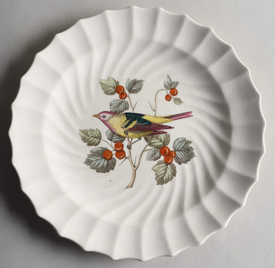 American Birds Dinner Plate by Spode-1