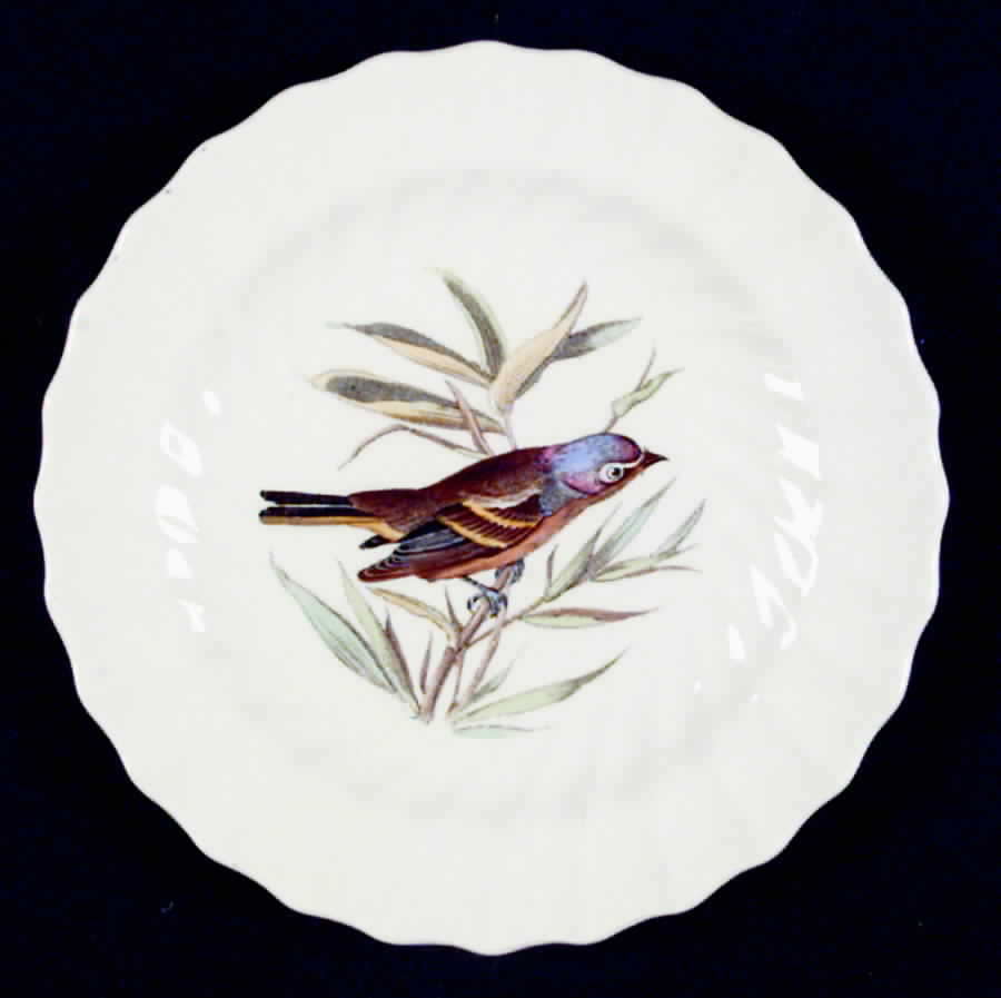 American Birds Bread & Butter Plate by Spode-1