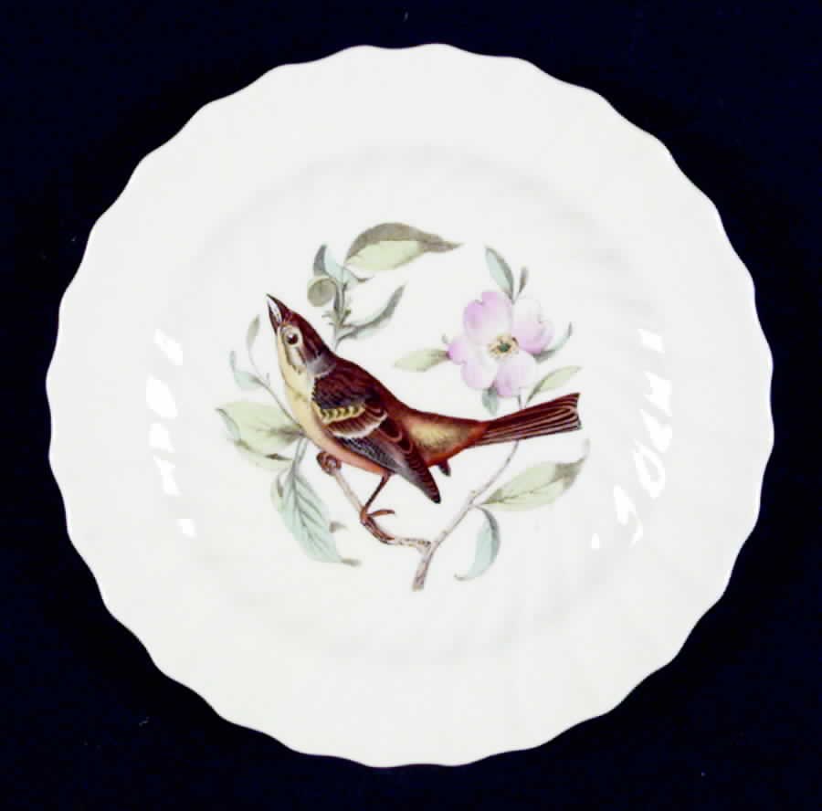 American Birds Bread & Butter Plate by Spode-1