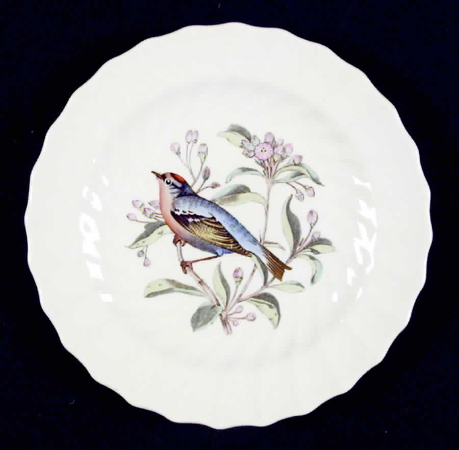 American Birds Bread & Butter Plate by Spode-1