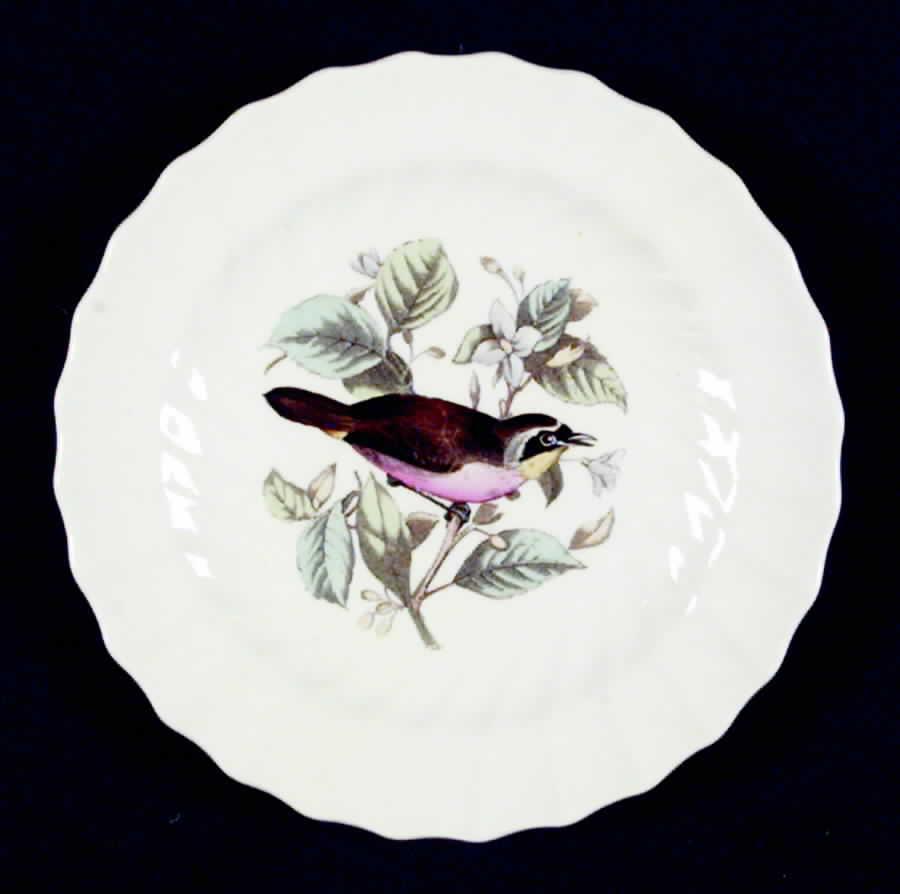 American Birds Bread & Butter Plate by Spode-1