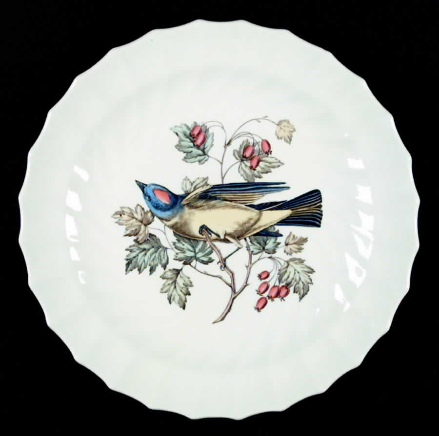 American Birds Luncheon Plate by Spode-1