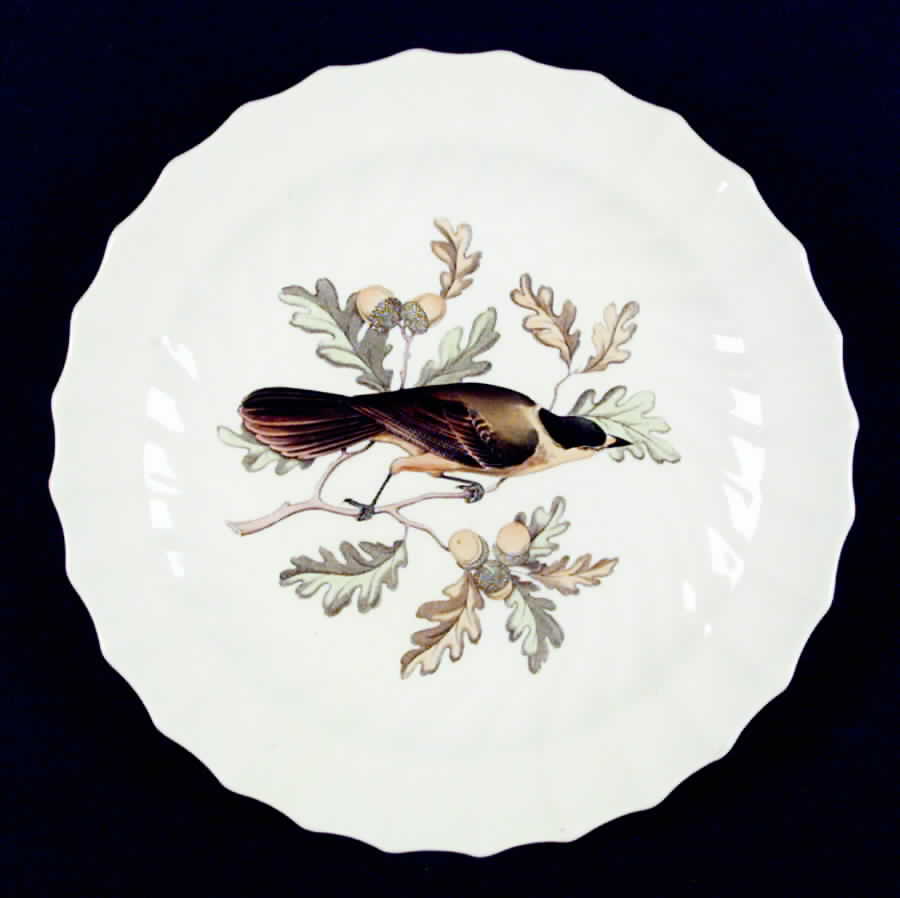 American Birds Luncheon Plate by Spode-1