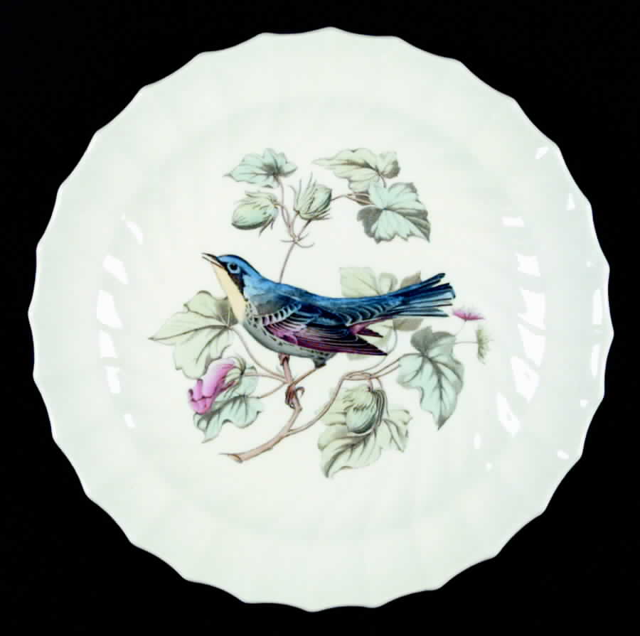American Birds Luncheon Plate by Spode-1