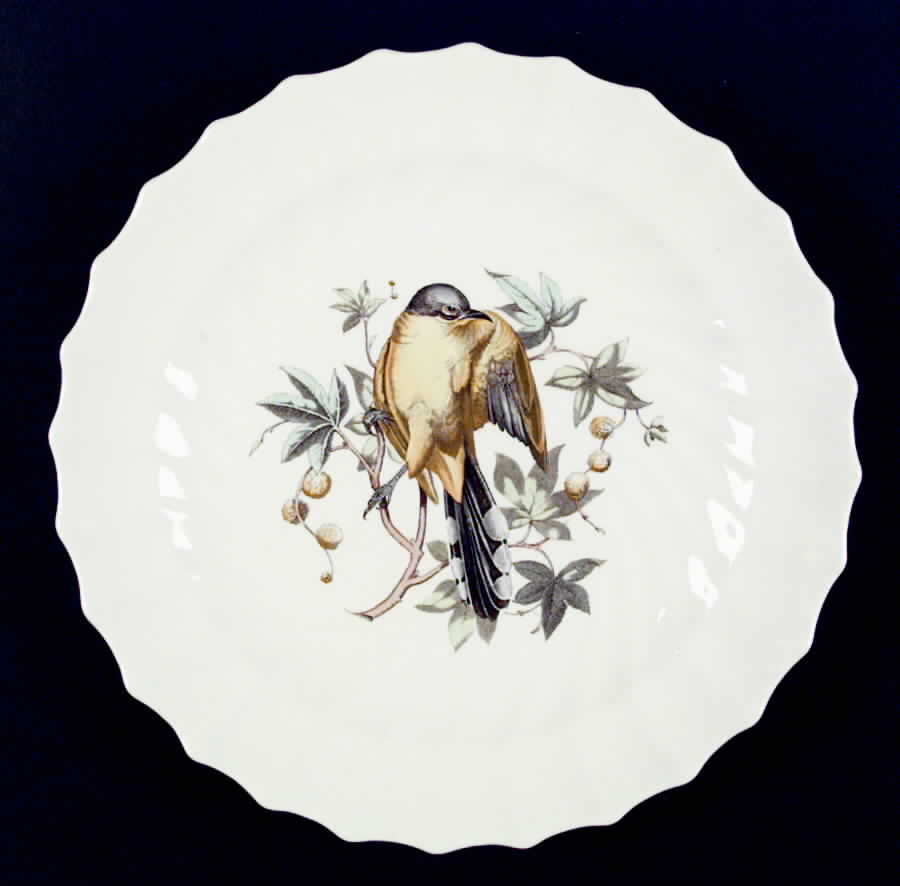 American Birds Luncheon Plate by Spode-1