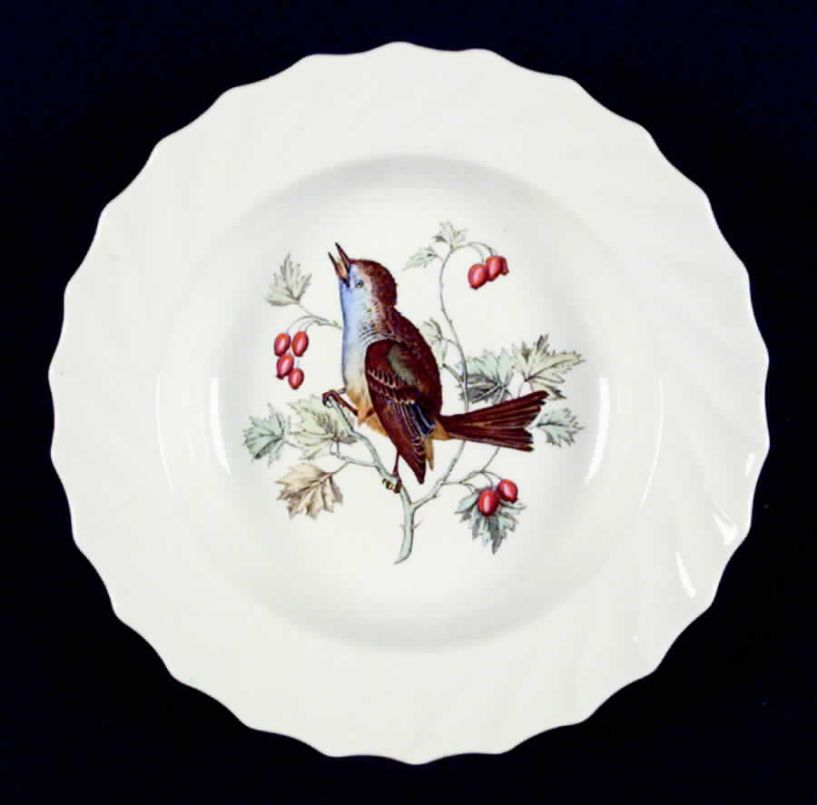American Birds Rim Soup Bowl by Spode-1
