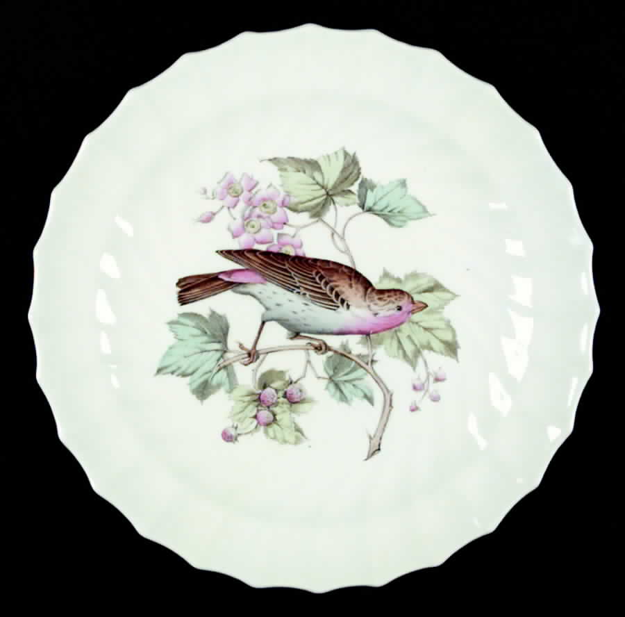 American Birds Luncheon Plate by Spode-1