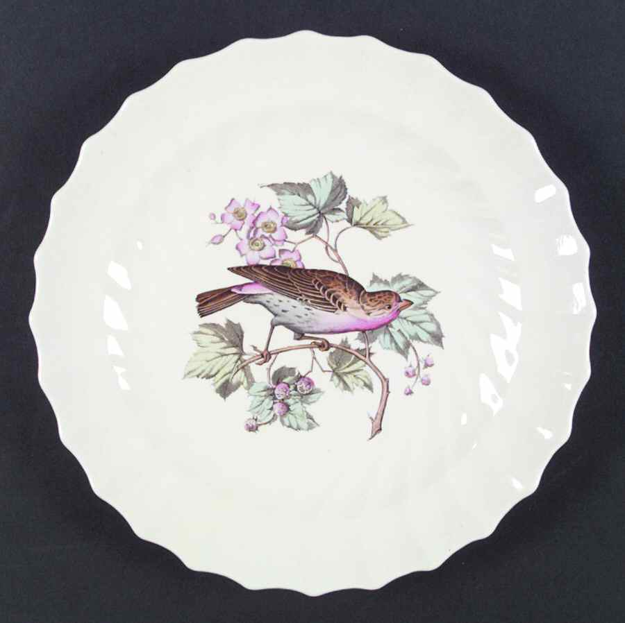American Birds Dinner Plate by Spode-1