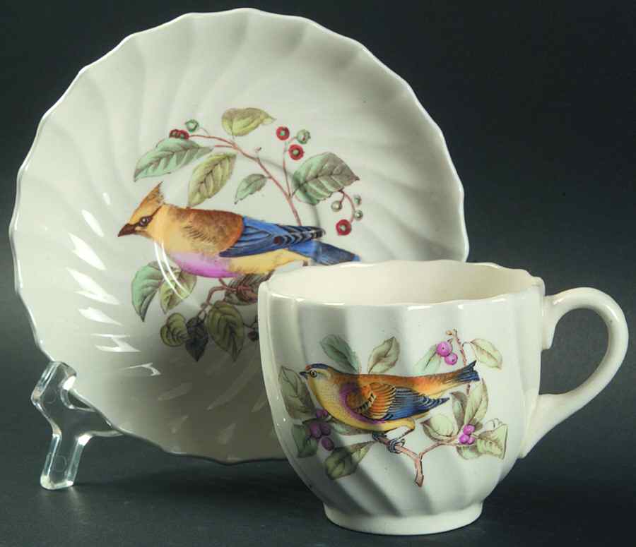 American Birds Flat Cup & Saucer Set by Spode-1