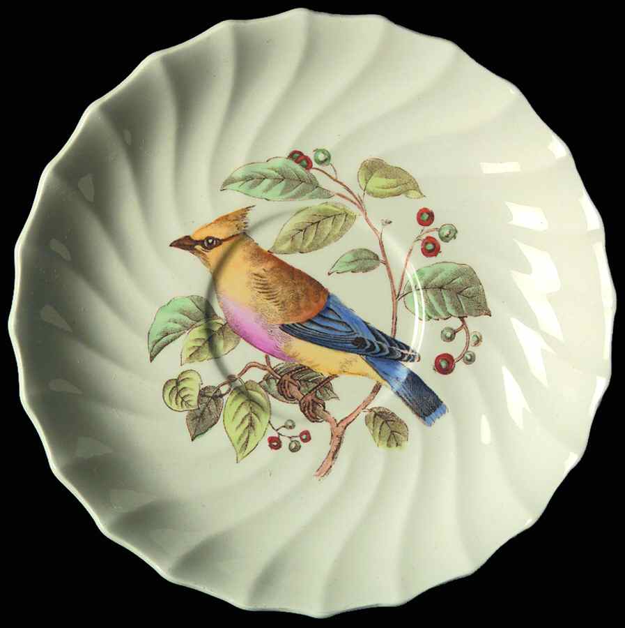 American Birds Saucer for Flat Cup by Spode-1