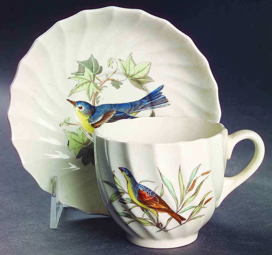 American Birds Flat Cup & Saucer Set by Spode-1