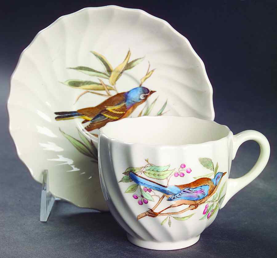 American Birds Flat Cup & Saucer Set by Spode-1