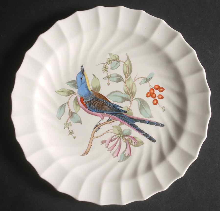 American Birds Luncheon Plate by Spode-1