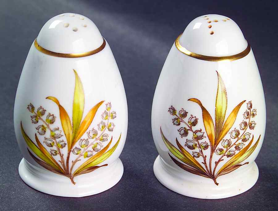 Andromeda Brown and Yellow Salt & Pepper Set by Spode-1