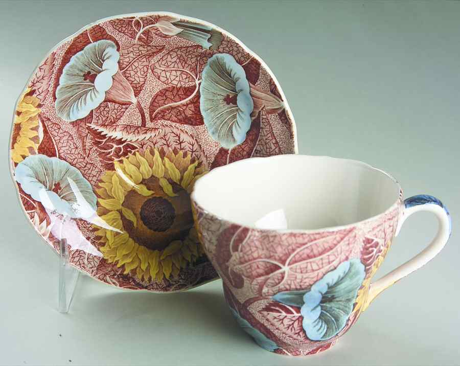 Arcadia Flat Cup & Saucer Set by Spode-1