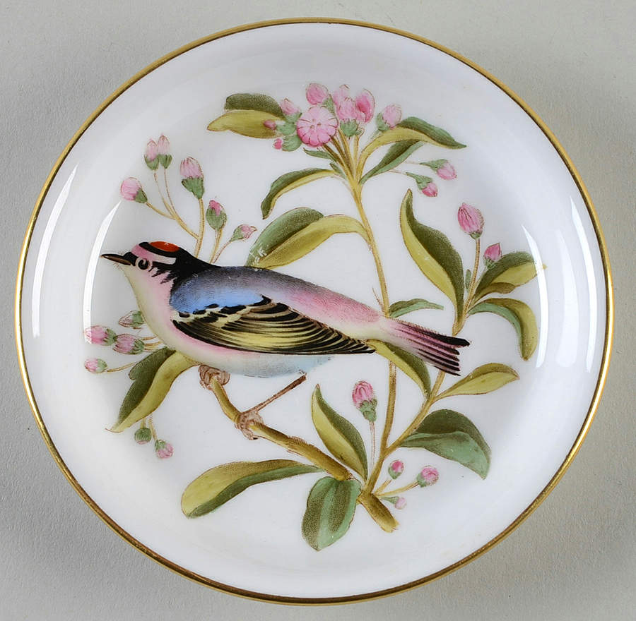 Audubon Birds Coaster by Spode-1