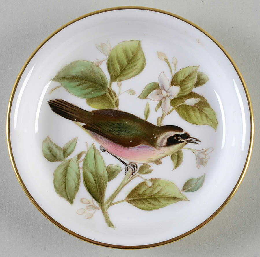 Audubon Birds Coaster by Spode-1