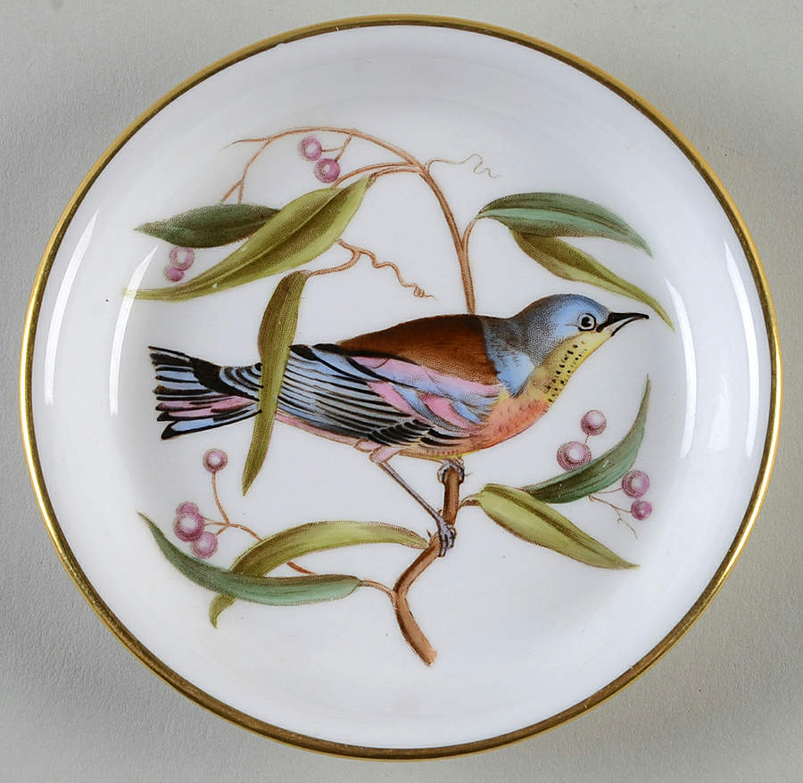 Audubon Birds Coaster by Spode-1