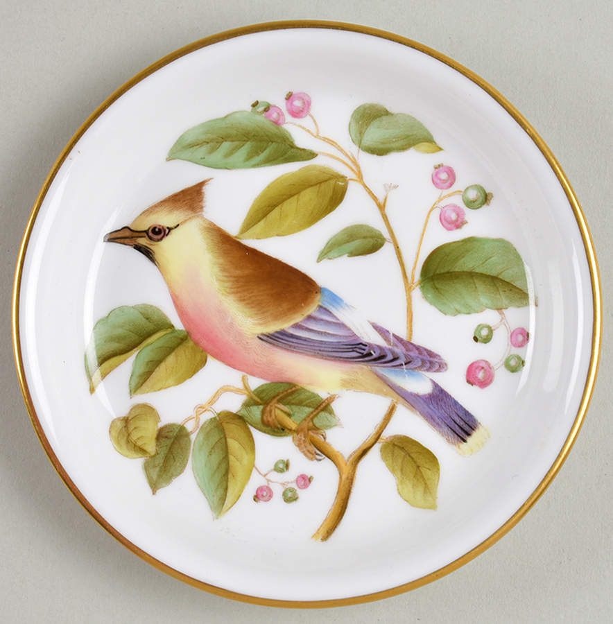 Audubon Birds Coaster by Spode-1