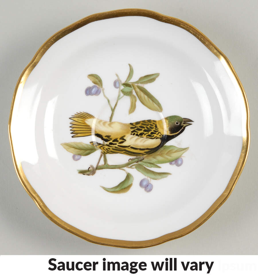 Audubon Birds Saucer for Flat Cup by Spode-1