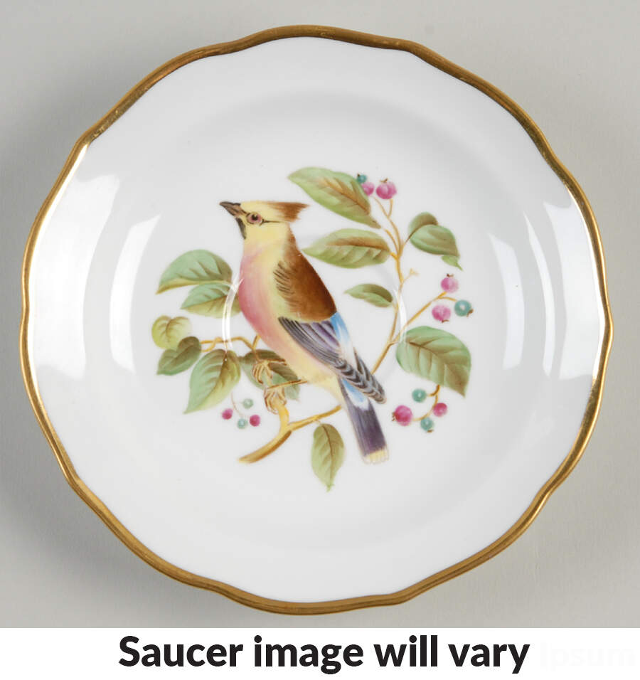 Audubon Birds Saucer for Flat Cup by Spode-1