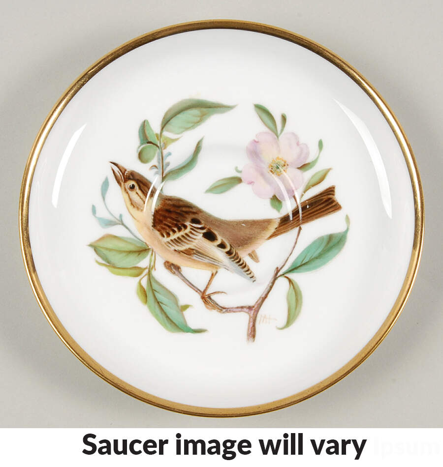 Audubon Birds Saucer for Flat Demitasse Cup by Spode-1
