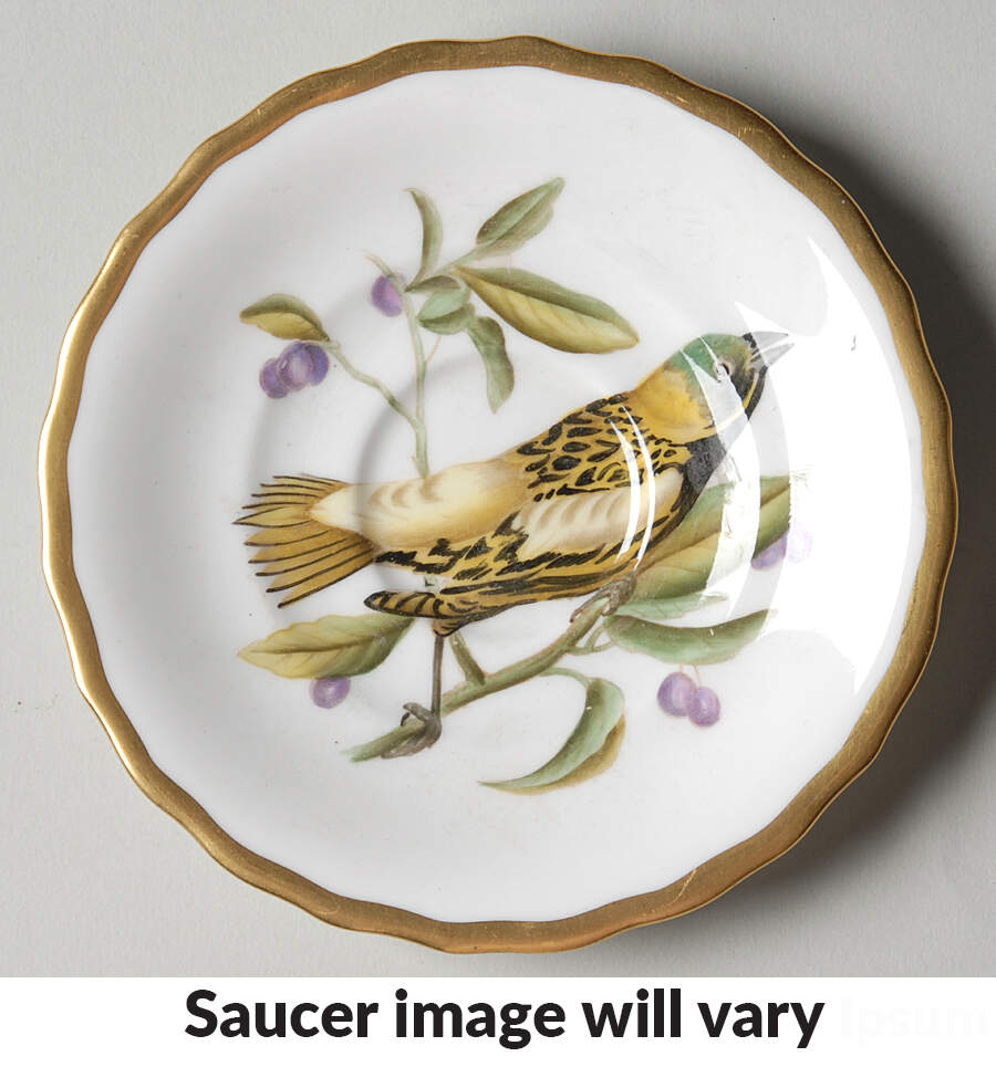 Audubon Birds Saucer for Flat Demitasse Cup by Spode-1