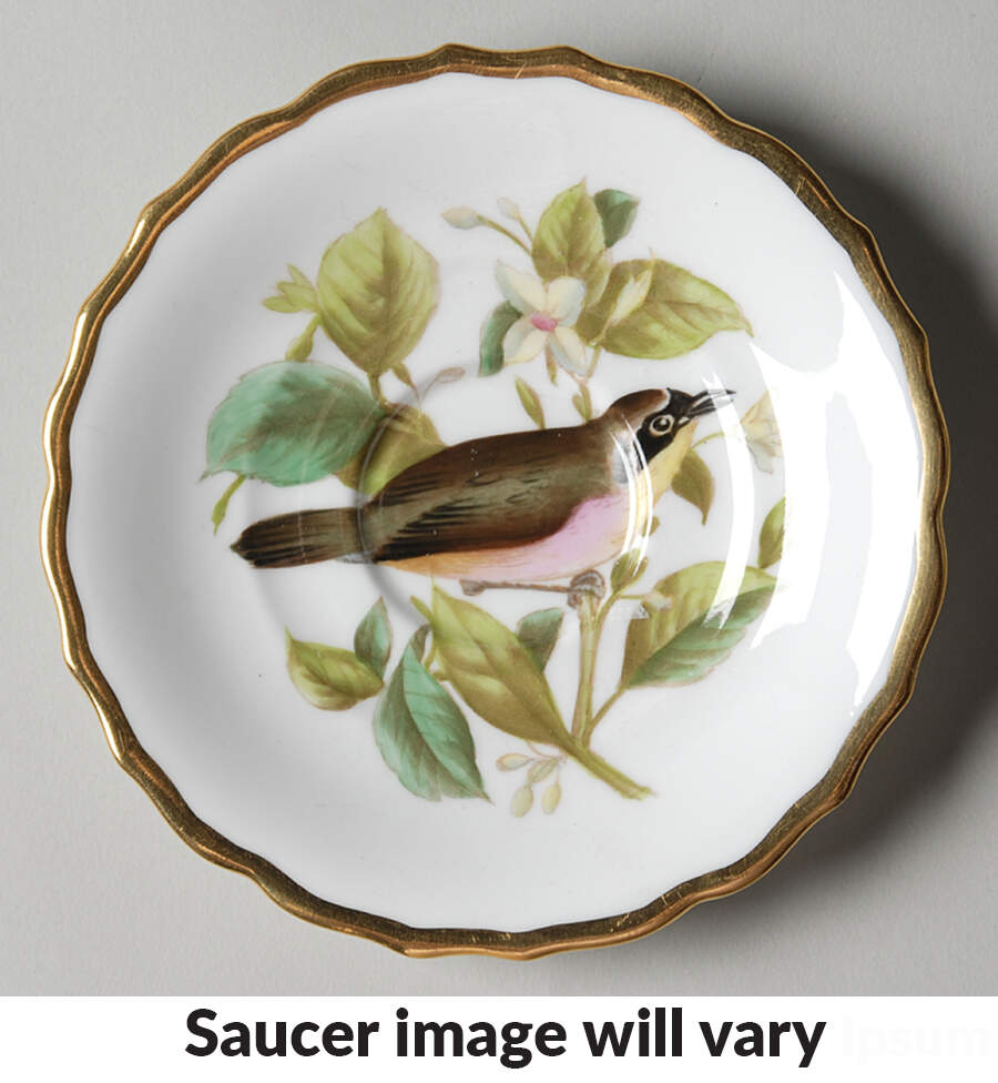 Audubon Birds Saucer for Flat Demitasse Cup by Spode-1