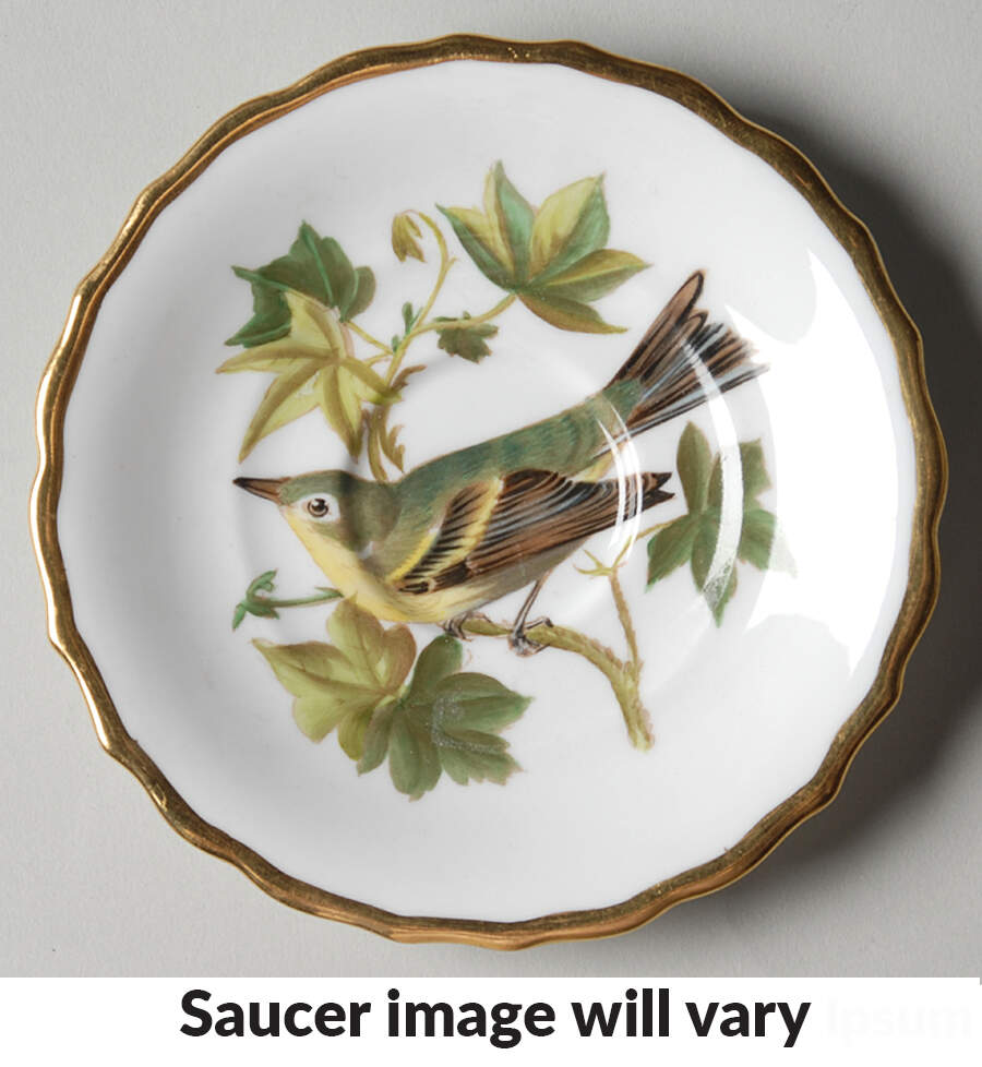 Audubon Birds Saucer for Flat Demitasse Cup by Spode-1